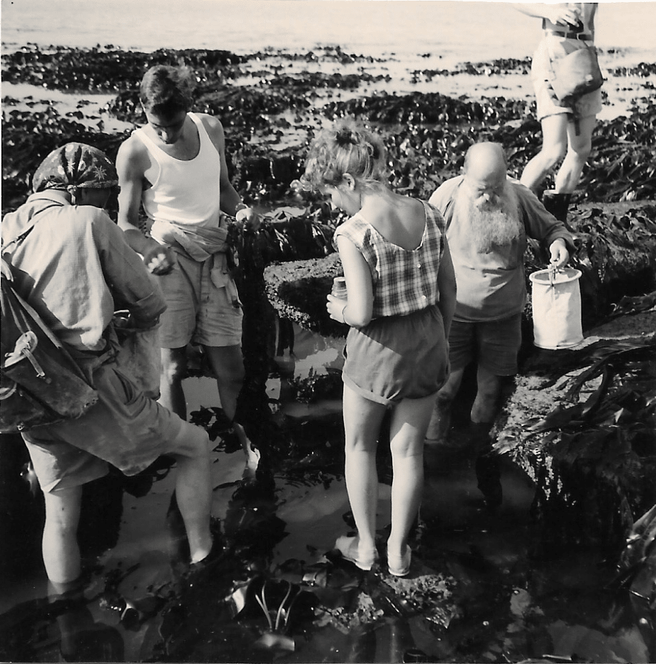 Excursie van Congo in Frankrijk (jaren zestig)